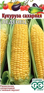 Кукуруза сахарная Леденец F1, 10 шт. Овощная коллекция.