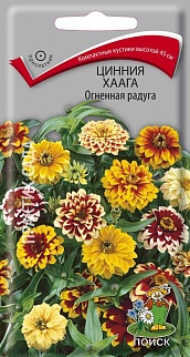 Цинния Хаага Огненная Радуга, 0,3 г