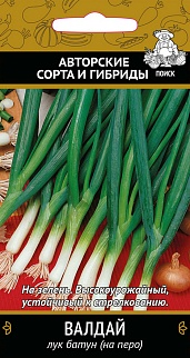 Лук батун Валдай, 1 г