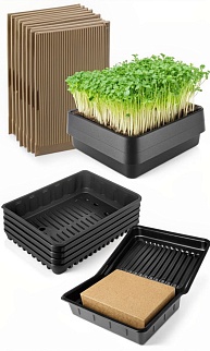 Горшок для рассады Д22МР (v 6 л) черн\форм