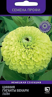 Цинния Гиганты Бенари Лайм, 10 шт. Семена профи