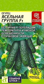 Огурец Ясельная Группа F1, 5 шт. 