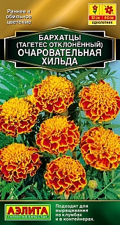 Бархатцы Очаровательная Хильда отклоненные, 0,3 г