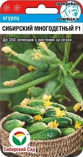 Огурец Сибирский многодетный F1, 7 шт. Сибирский сад