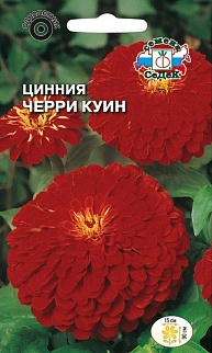 Цинния георгиновидная Черри Куин, 0,5 г