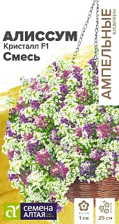 Алиссум ампельный Кристалл F1, смесь, 0,01 г Ампельные Шедевры.