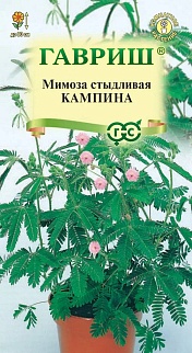 Мимоза стыдливая Кампина, 0,1 г
