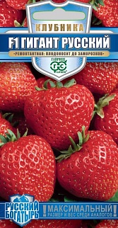 Земляника (Клубника) Гигант русский F1, ремонтантная, 5шт. Русский богатырь.