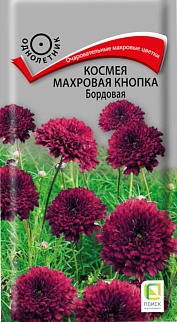 Космея Махровая кнопка Бордовая, 0,1 г