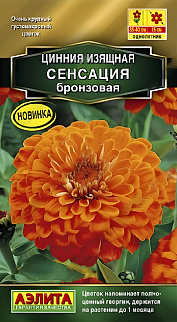 Цинния Сенсация бронзовая, 12 шт.