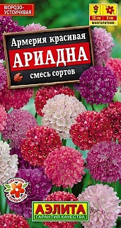 Армерия Ариадна, смесь сортов, 2 г