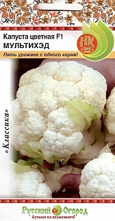 Капуста цветная МультиХэд, 12 шт. Русский огород.