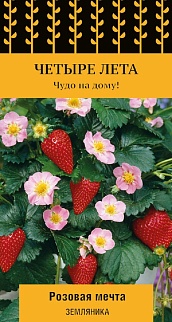 Земляника Розовая мечта, 5 шт. Четыре лета
