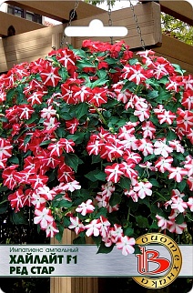 Бальзамин Импатиенс ампельный Хайлайт F1 Рэд Стар, 10 шт. Биотехника