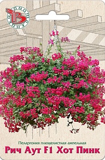 Пеларгония плющелистная ампельная Рич Аут F1 Хот Пинк, 5 шт. Биотехника