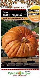Тыква Атлантик джайн, 3 шт.