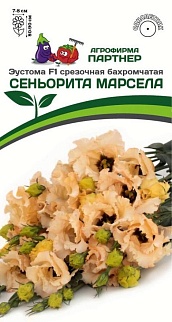 Эустома Сеньорита Марсела F1, 5 шт. в амп.