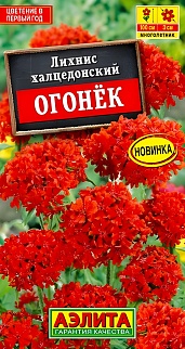 Лихнис Огонек, 0,1 г