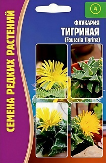 Фаукария тигриная, 3 шт.