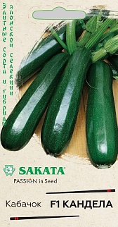 Кабачок Кандела F1, 5 шт. Саката.
