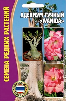 Адениум Wanida, 3шт.