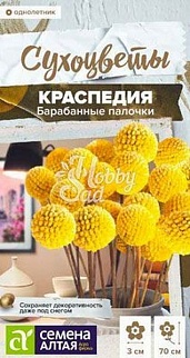 Краспедия шаровидная Барабанные палочки, 0,05 г