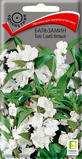 Бальзамин Том Самб белый, 0,1 г