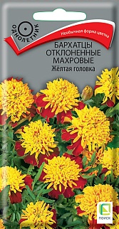 Бархатцы отклоненные махровые Жёлтая головка, 0,4 г