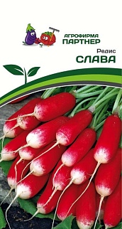 Редис Слава, 2 г. Агрофирма Партнер.