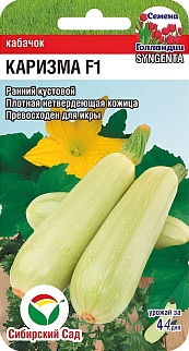 Кабачок Каризма F1, 3 шт. Семена Голландии. Сибирский сад.