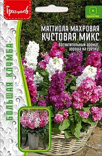 Маттиола махровая кустовая микс  0,1 г