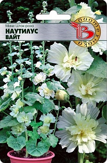 Мини Шток-Роза Наутилус Вайт, 8 шт. Биотехника