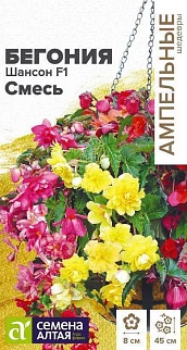 Бегония Шансон F1 Смесь, 5 шт. Ампельные шедевры