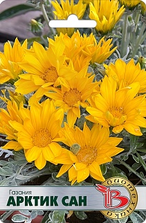 Газания Арктик Сан, 7 шт.