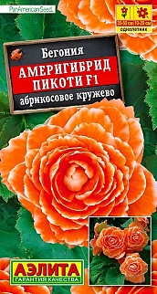 Бегония Америгибрид пикоти F1, абрикосовое кружево, 5 шт.