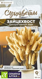 Зайцехвост злак декоративный, 0,1 г