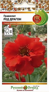 Гравилат махровый Ред Драгон, 15 шт. Русский огород