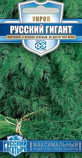 Укроп Русский гигант, 2 г. Русский богатырь.