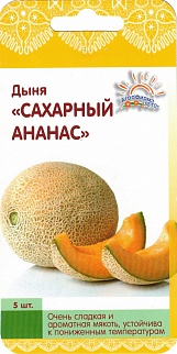 Дыня Сахарный ананас, 5 шт. Лето.