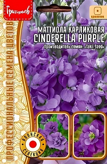 Маттиола карликовая Cinderella Purple, 5 шт.