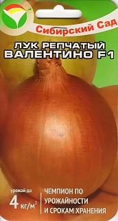 Лук Валентино F1, 1 г. Сибирский сад