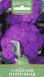 Капуста цветная Сицилия Пурпурная, 0,5 г. Биотехника.