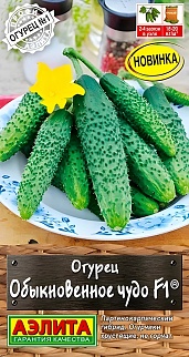 Огурец Обыкновенное чудо F1, 10 шт. 