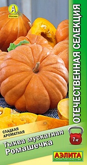 Тыква мускатная Ромашечка, 7 шт.