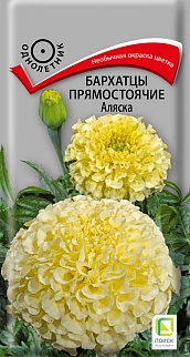 Бархатцы прямостоячие Аляска, 0,4 г