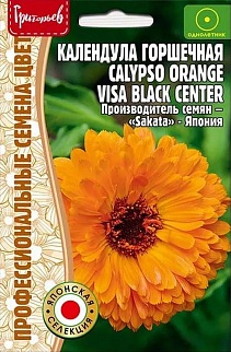 Календула горшечная Calypso Orange Visa Black (Калипсо оранжевый Виза черный), 5 шт.