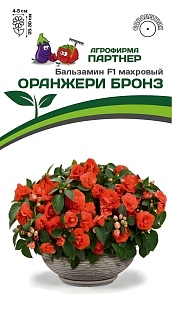 Бальзамин F1 махровый Оранжери бронз, 5 шт.