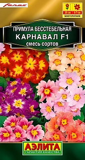 Примула Карнавал F1, смесь окрасок, 7 шт.