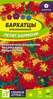 Бархатцы Петит Хармони махровые, 0,3 г