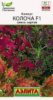 Колеус Колоча F1, смесь сортов, 5 шт.